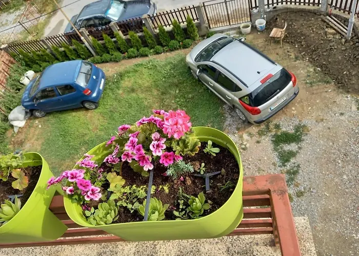 Apartmants Djekovi