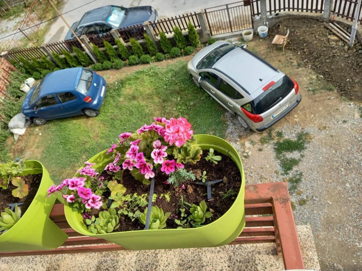 Апартамент Apartmants Djekovi